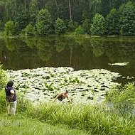 Александр Джежель