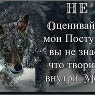 Волк Одиноки