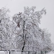 Инна Музырева-сулимова