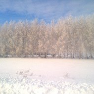 Меркурий Волков