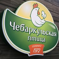 Чебаркульская Птица