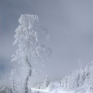 Михаил Григорьев