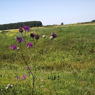 Земфира Мирзамукарова