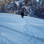 Александр Чернышов