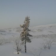 Анатолий Авдеев