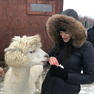 Елена Векина