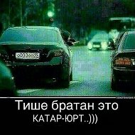 Бродяга 95