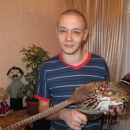 Александр Кропивный