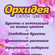 Живые Цветы