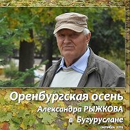 Художник Александр