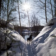 Михаил Орлов