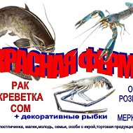 Красная Аква