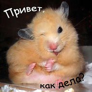 Костя Воронин