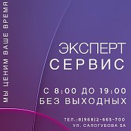 Эксперт- Сервис