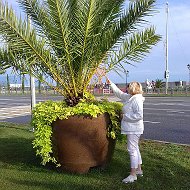 Наталья Головачева