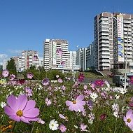 Усть-илимск Вести