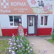 Магазин Purina