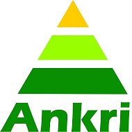 Ankri By