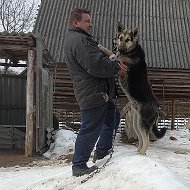 Сергей Стрельцов