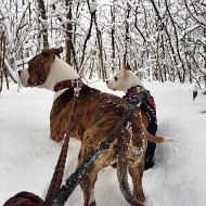 Наталья Морозова