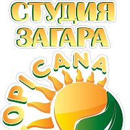 Студия Загара