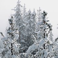 Нижневартовский Район