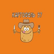 Картофель 37