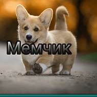 Мемчик Gamer