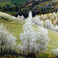 Жизнь Прекрасен