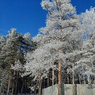 Нелли Петрова