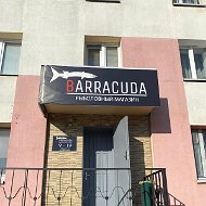 Barracuda Рыбаловный