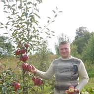 Володимир Цомпель