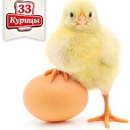 33 Курицы