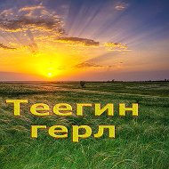 Журнал Теегин