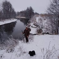 Лесная Сказка