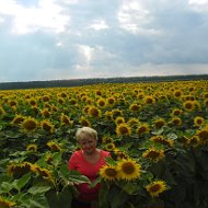 Светлана Василенко