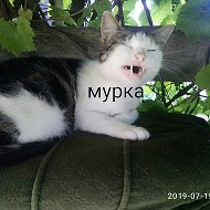 Мурка Стражница