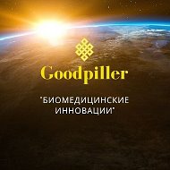 Goodpiller Company