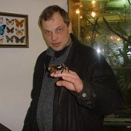 Константин Кушнов