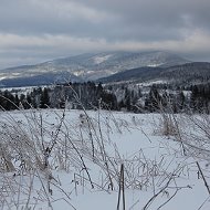 Марія Сенюта