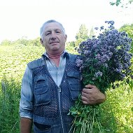 Виталий Анищенко