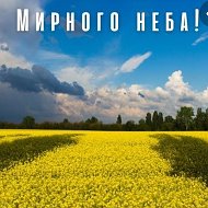 Світлана Долинчук