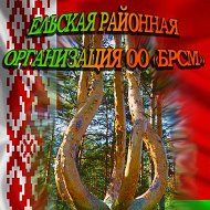 Молодежь Ельщины