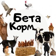 Кормовая База