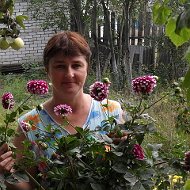 Елена Тверскова