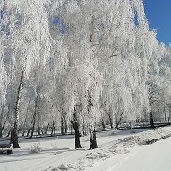 Виктор Дридигер