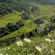 Людмила Бочкарева