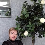 Ольга Плужникова