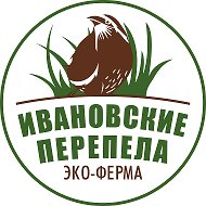 Ивановские Перепела