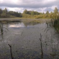 Галина Вишнякова